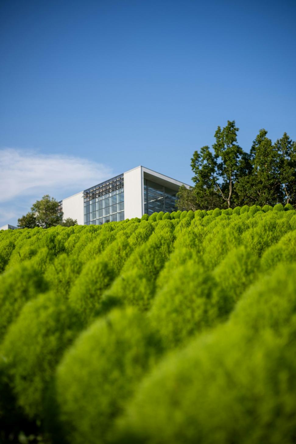 Green Office Complex